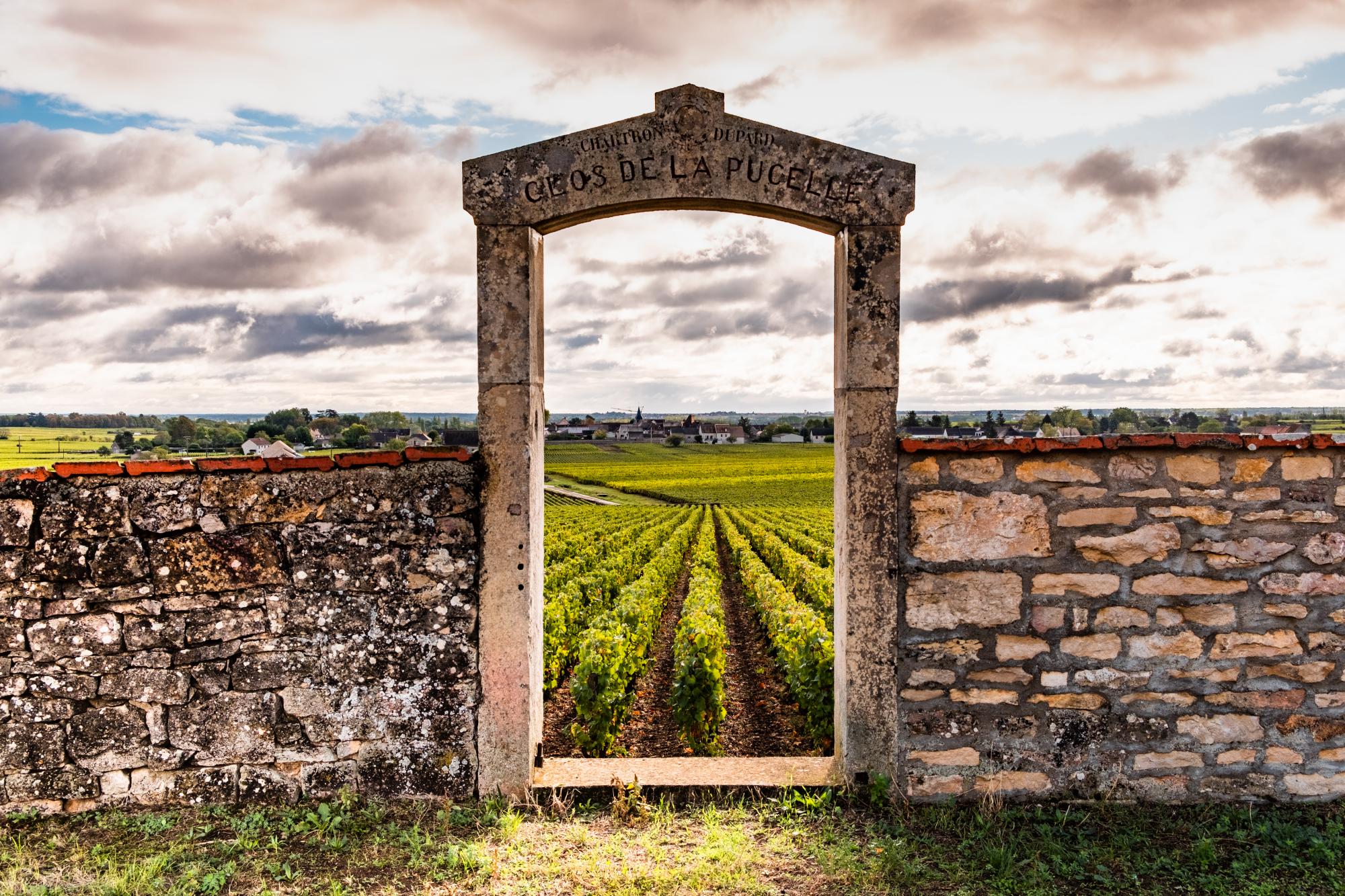 Бургундія, Тоскана та Порту. Де дегустувати вино в Європі: найкращі локації та маршрути